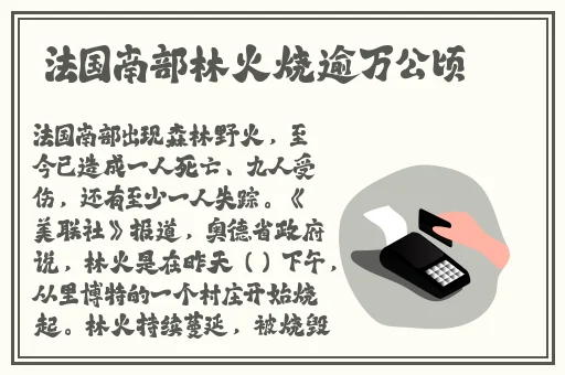 仙踪林company limited19岁免费版的特点
